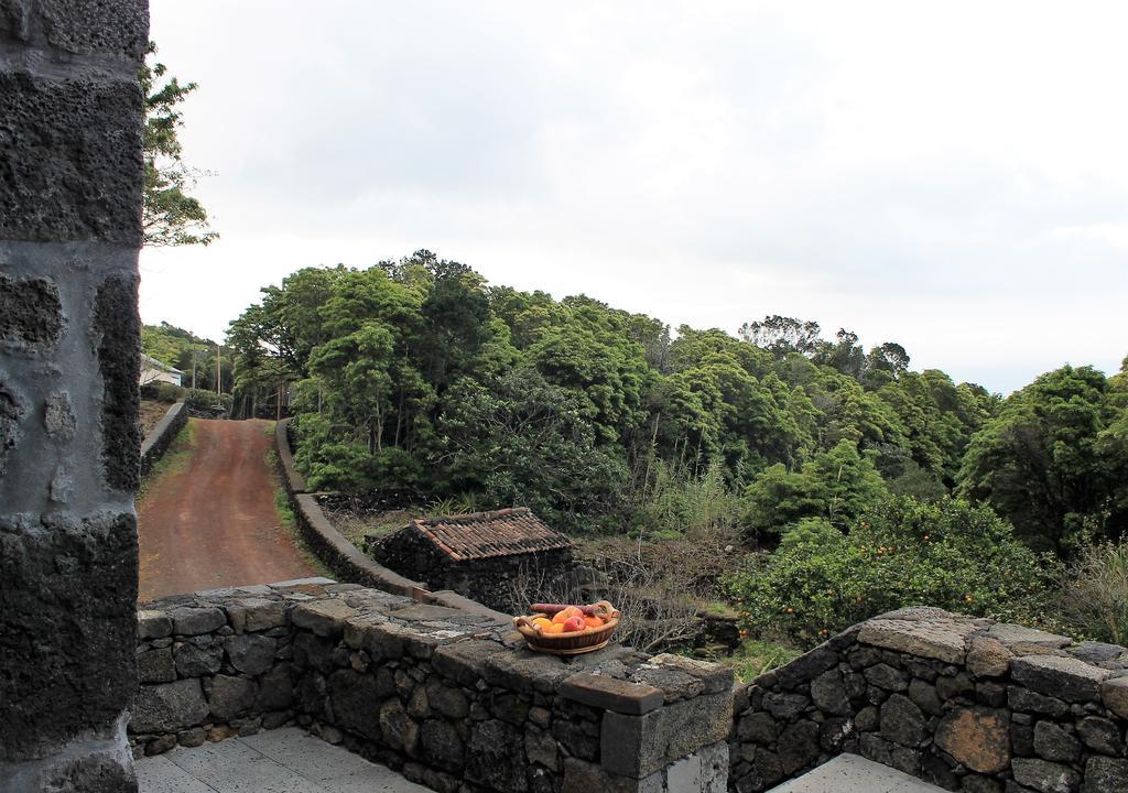 Pico Formoso Vinea Lava Alojamentos Pico Prainha  Eksteriør bilde
